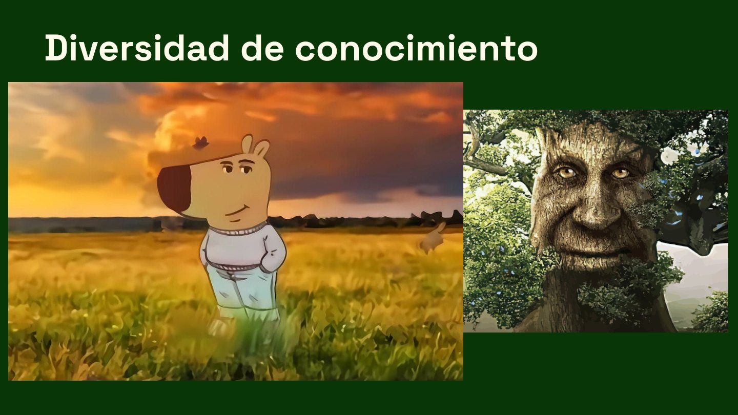 Communitary project